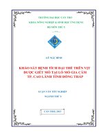 khảo sát bệnh tích đại thể trên vịt được giết mổ tại lò mổ gia cầm tp. cao lãnh tỉnh đồng tháp