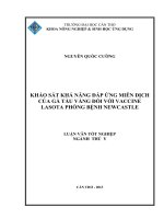 khảo sát khả năng đáp ứng miễn dịch của gà tàu vàng đối với vaccine lasota phòng bệnh newcastle