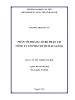 phân tích báo cáo bộ phận tại công ty cổ phần dược hậu giang