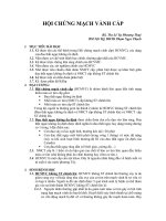 Bài Giảng Hội Chứng Mạch Vành Cấp