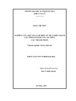 Khoá luận tốt nghiệp nghiên cứu chế tạo cảm biến từ dựa trên mạch cầu wheatstone có cấu trúc các nhánh tròn