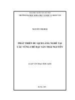 Phát triển du lịch làng nghề tại cac vùng chè đặc sản thái nguyên 
