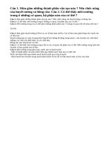 Câu 1, câu 2, câu 3, câu 4 trang 44 sinh học lớp 8