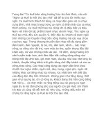 Chứng minh nghe ca huế là 1 thú vui tao nhã