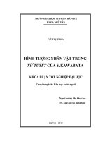 Hình tượng nhân vật trong xứ tuyết của y kawabata