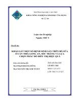 khảo sát một số bệnh sinh sản trên bõ sữa ở cần thơ, long an, sóc trăng và lựa chọn phác đồ điều trị hiệu quả