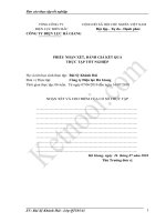 Thực trạng công tác quản trị marketing tại công ty điện lực hà giang 