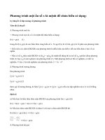 Lý thuyết đại cương về phương trình