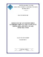 Khảo sát sự lưu hành virus gumboro trên gà thả vườn ở xã thông hòa huyện cầu kè tỉnh trà vinh