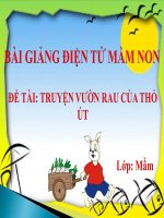 Bài giảng điện tử mầm non lớp Mầm đề tài truyện vườn rau của Thỏ út