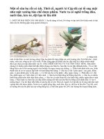 Lý thuyết đa dạng và đặc điểm chung của lớp sâu bọ