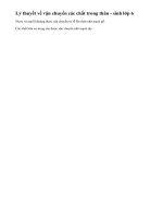 Lý thuyết vận chuyển các chất trong thân