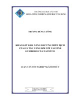 khảo sát khả năng đáp ứng miễn dịch của gà tàu vàng đối với vaccine gumboro của navetco