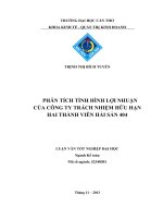 phân tích tình hình lợi nhuận của công ty trách nhiệm hữu hạn hai thành viên hải sản 404