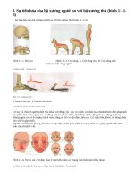 Lý thuyết tiến hóa của hệ vận động, vệ sinh hệ vận động