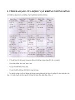 Lý thuyết ôn tập động vật không xương sống