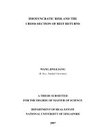 Idiosyncratic risk and the cross section of REIT returns
