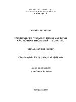 Ứng dụng của nhóm lie trong các mô hình thống nhất tương tác