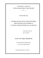 Giải pháp áp dụng thủ tục phân tích trong kiểm toán báo cáo tài chính của các công ty kiểm toán độc lập tại việt nam 