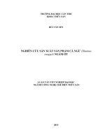 nghiên cứu sản xuất sản phẩm cá ngừ (thunnus tonggol) ngâm ớt