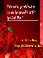 Bài 12 thực hành quan sát biến dạng của rễ   bài giảng sinh học lớp 6 thao giảng tham khảo (3) 