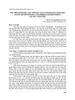 ĐẶC điểm SINH học ONG NHỎRÂU NGẮN TERASTICHUS HOWARDI OLLIFF HYMENOPTERA EULOPHIDAE kí SINH NHỘNG sâu đục THÂN mía 