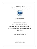 Giải pháp hoàn thiện quản trị rủi ro tín dụng tại công ty trách nhiệm hữu hạn một thành viên tài chính prudential việt nam 