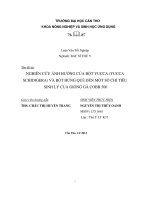 nghiên cứu ảnh hưởng của bột yucca (yucca schidigera) và bột húng quế đến một số chỉ tiêu sinh lý của giống gà cobb 500