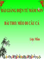 Bài giảng điện tử mầm non lớp Mầm đề tài Bài thơ Mèo đi câu cá