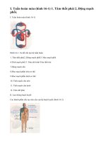 Lý thuyết bài tuần hoàn máu và lưu thông bạch huyết