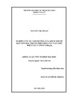 Nghiên cứu sự ảnh hưởng của kích thước hạt lên đặc trưng điện hóa của vật liệu điện cực catot limn2o4