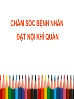 Chăm Sóc Bệnh Nhân Đặt Nội Khí Quản