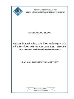 khảo sát khả năng đáp ứng miễn dịch của gà tàu vàng đối với vaccine bal – ibd của singapore phòng bệnh gumboro