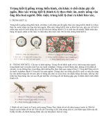 Lý thuyết trùng kiết lị và trùng sốt rét