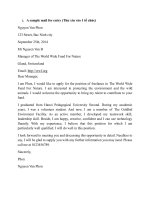 Bài viết tiếng anh cao học