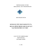 đánh giá tổn thất kinh tế của hộ gia đình trong khi ngập lụt tại thành phố cần thơ