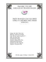 PHÂN TÍCH báo cáo tài CHÍNH CÔNG TY CHẾ BIẾN THỰC PHẨM năm 2013