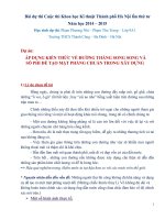 nckh  áp DỤNG KIẾN THỨC về ĐƯỜNG THẲNG SONG SONG và số PHI để tạo mặt PHẲNG CHUẨN TRONG xây DỰNG