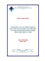 ảnh hưởng của các nhóm vi khuẩn dại cỏ lên gas volume tủ lệ tiêu hóa của một số phụ phẩm nông nghiệp trong điều kiện invitro