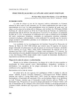 INSECTOS PLAGAS DE LA CAÑA DE AZUCAR EN VIETNAM 