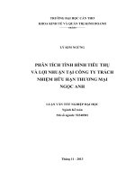 phân tích tình hình tiêu thụ và lợi nhuận tại công ty trách nhiệm hữu hạn thương mại ngọc anh