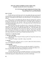 KẾT QUẢ KHẢO NGHIỆM cơbản GIỐNG mía tại hậu GIANG (vụtơvà vụgốc i) 