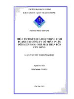 phân tích kết quả hoạt động kinh doanh tại công ty cổ phần phân bón miền nam  nhà máy phân bón cửu long