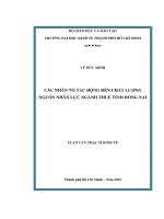 Các nhân tố tác động đến chất lượng nguồn nhân lực ngành thuế tỉnh đồng nai 