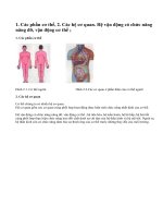 Lý thuyết cấu tạo cơ thể người