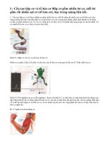 Lý thuyết bài cấu tạo và tính chất của cơ