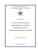 Các yếu tố ảnh hưởng đến hành vi tiêu dùng sản phẩm mỹ phẩm cao cấp của nữ nhân viên văn phòng tại thành phố hồ chí minh 