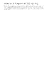 Lý thuyết cấu tạo và chức năng của hoa