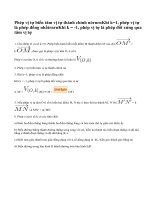 Lý Thuyết Phép Vị Tự