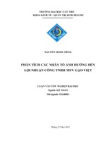 phân tích các nhân tố ảnh hưởng đến lợi nhuận công tnhh mtv gạo việt